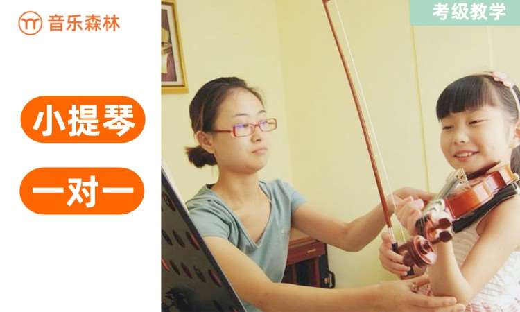 北京儿童小提琴学习
