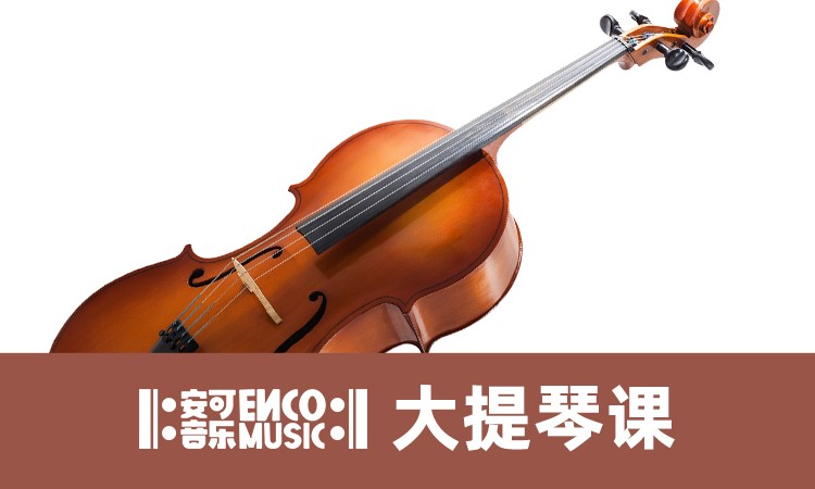 南京大提琴培训报价