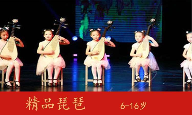 天津儿童琵琶教学课程