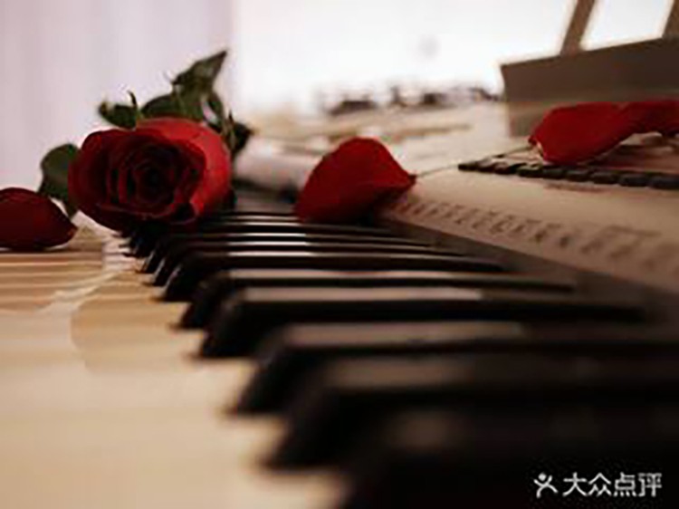 苏州成人零基础钢琴培训