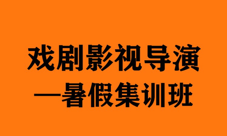 郑州艺考表演学校