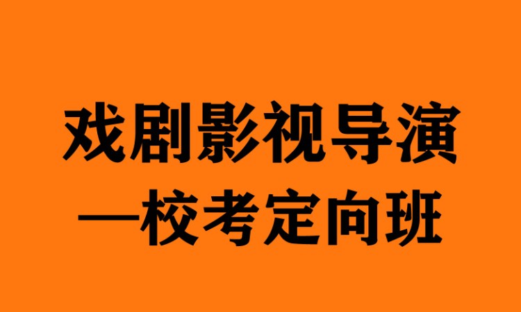 郑州艺考影视表演培训